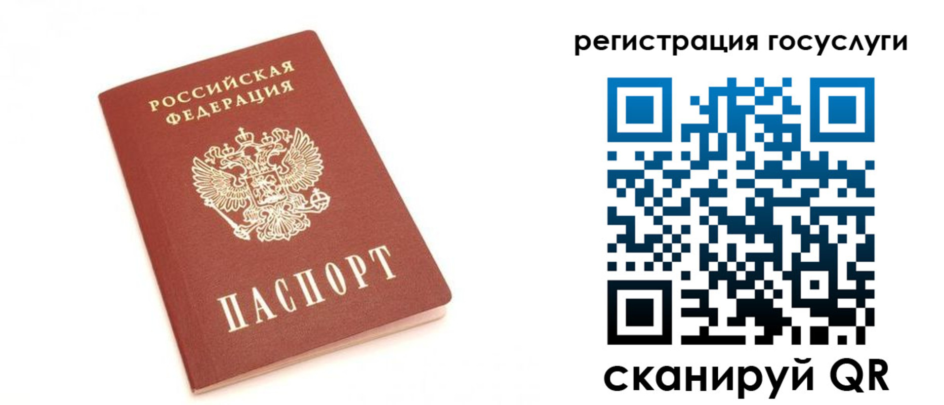 прописка для школы в Курганской области